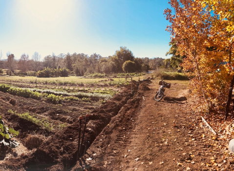 Synchronicity Farm - Restaurant Darwin 1