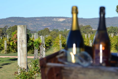 Ugly Duckling Wines - Restaurant Darwin 1