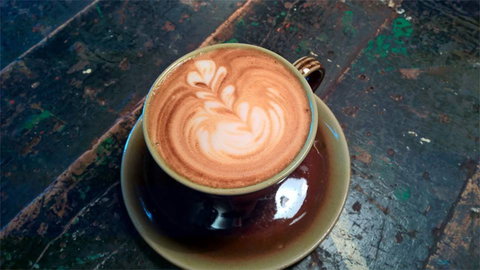 Fox & Rabbit Coffee Co. - Restaurant Darwin 0