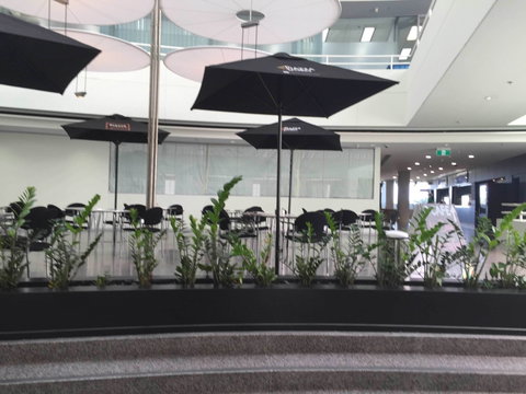 Mr Morce - Restaurant Darwin 0