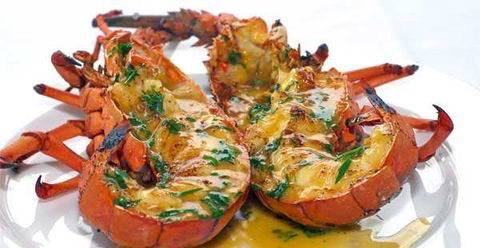 Chefs Of Tandoori - Restaurant Darwin 27