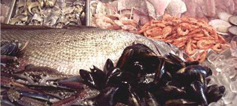Lifeboat Seafood - Restaurant Darwin 1