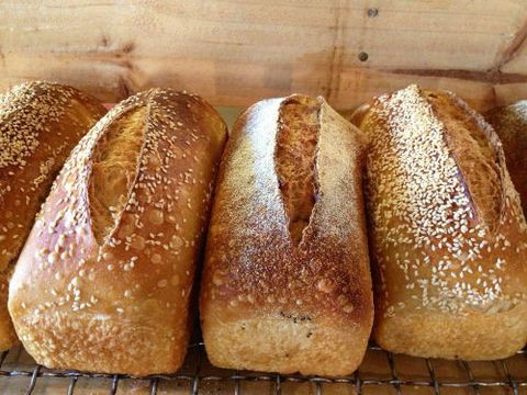 Blackbird Artisan Bakery - Restaurant Darwin 30
