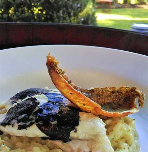 Blackbird Artisan Bakery - Restaurant Darwin 26