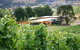 Home Hill Winery Restaurant - thumb 12