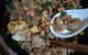 Haruka Japanese Cuisine - thumb 2