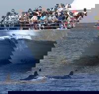 MoonshadowTQC Cruises - Restaurant Darwin