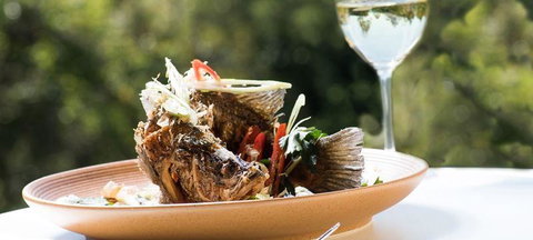 View Restaurant Peppers Noosa - Restaurant Darwin 1