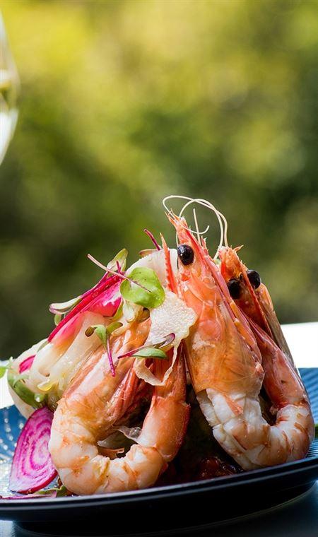 View Restaurant Peppers Noosa - Restaurant Darwin 4