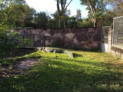 Corroboree Park Tavern - Restaurant Darwin 0