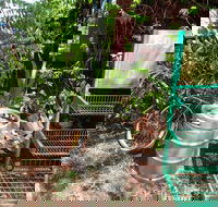 Larrimah Pink Panther Hotel - Restaurant Darwin