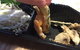 Bento Kingston - thumb 0