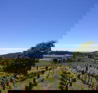 Barringwood Vineyard and Cellar Door Restaurant - Restaurant Darwin