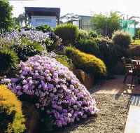 Pipers River Tea House and Crafts - Restaurant Darwin