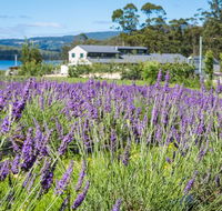 Port Arthur Lavender - Restaurant Darwin