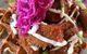 Lo's Cafe Fusion Bistro - thumb 1