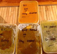 Surya Indian Cuisine - Restaurant Darwin