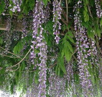 The Topiary Pantry - Restaurant Darwin