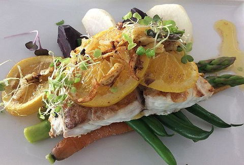 The Organik Store & Cafe - Restaurant Darwin 1