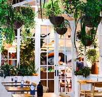 Ivy  Lark - Restaurant Darwin