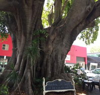 PUK Espresso - Restaurant Darwin