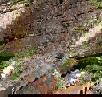 3-Day Kakadu 4WD Camping Safari from Darwin - Restaurant Darwin