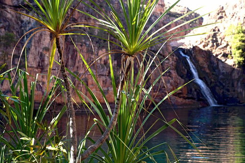 3-Day Kakadu 4WD Camping Safari From Darwin - Restaurant Darwin 2