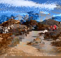 The Big Wave Rock Private Day Tour - Restaurant Darwin