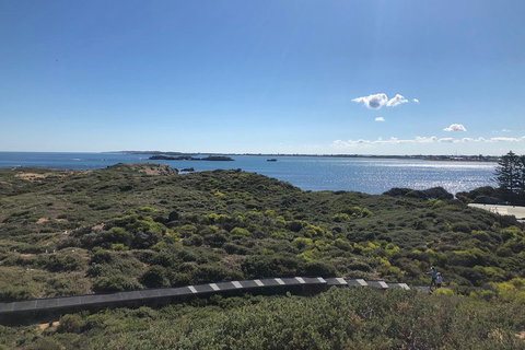 Penguin Island And Fremantle - Canoe, Chocolate & Coffee - Restaurant Darwin 0