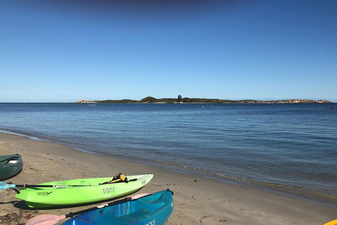 Penguin Island And Fremantle - Canoe, Chocolate & Coffee - Restaurant Darwin 2