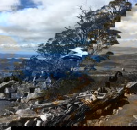 kunanyi / Mt Wellington Explorer Bus - 2 Hour Return Tour - Restaurant Darwin