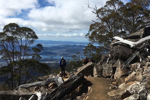 Kunanyi / Mt Wellington Explorer Bus - 2 Hour Return Tour - Restaurant Darwin 0