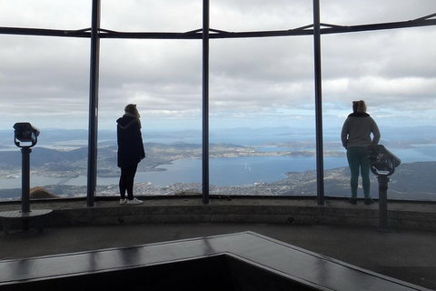 Kunanyi / Mt Wellington Explorer Bus - 2 Hour Return Tour - Restaurant Darwin 1