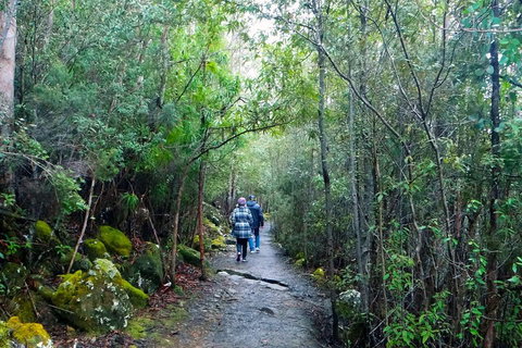Kunanyi / Mt Wellington Explorer Bus - 2 Hour Return Tour - Restaurant Darwin 2