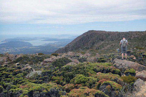 Kunanyi / Mt Wellington Explorer Bus - 2 Hour Return Tour - Restaurant Darwin 3
