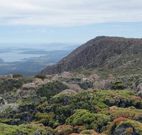 kunanyi/Mt Wellington Explorer Bus - One Way Tour - Restaurant Darwin