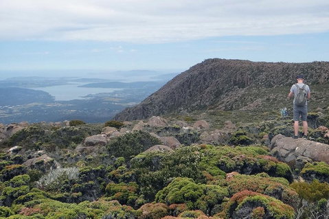 Kunanyi/Mt Wellington Explorer Bus - One Way Tour - Restaurant Darwin 0