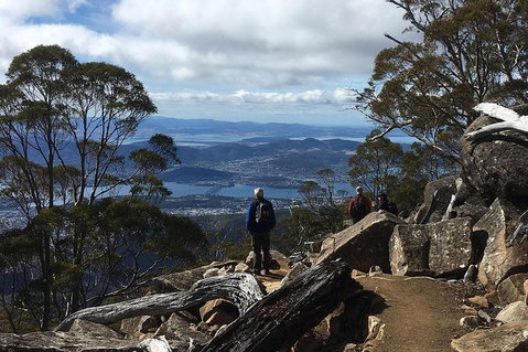 Kunanyi/Mt Wellington Explorer Bus - One Way Tour - Restaurant Darwin 2