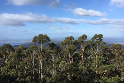 Kunanyi/Mt Wellington Explorer Bus - One Way Tour - Restaurant Darwin 5