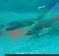 Private Tangalooma Wrecks Tour - Restaurant Darwin