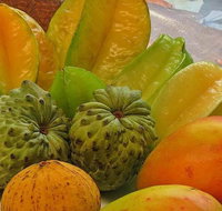 Private Half Day Tour Exclusive World Heritage Rainforest and Waterfall Tour from Cairns - Restaurant Darwin