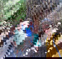 Cairns 4WD Waterfall and Rainforest Tour Including Kuranda Scenic Railway - Restaurant Darwin