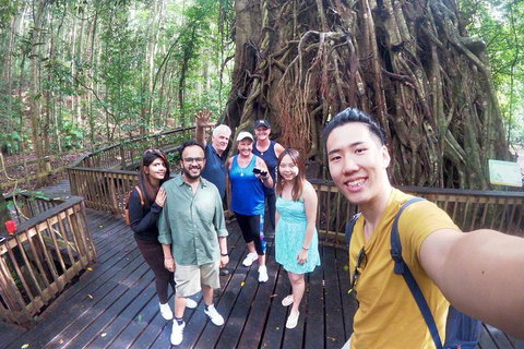 Cairns 4WD Waterfall And Rainforest Tour Including Kuranda Scenic Railway - Restaurant Darwin 0