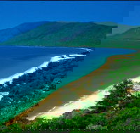 Cairns Reef and Rainforest Combo Daintree Rainforest and the Great Barrier Reef - Restaurant Darwin