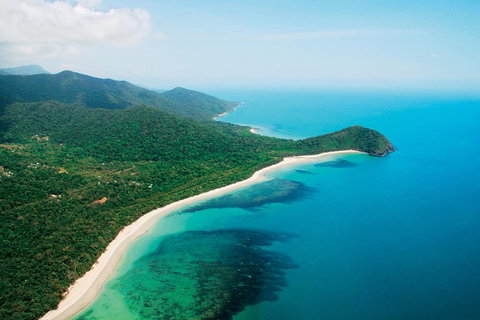 Cape Tribulation, Mossman Gorge, And Daintree Rainforest Premium Day Tour - Restaurant Darwin 2