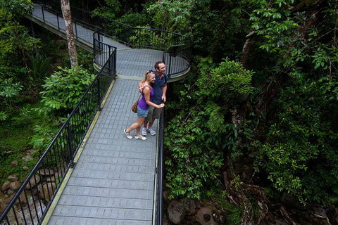 Cape Tribulation, Mossman Gorge, And Daintree Rainforest Premium Day Tour - Restaurant Darwin 3