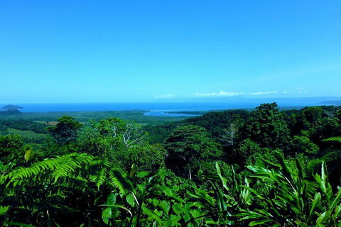 Cape Tribulation, Mossman Gorge, And Daintree Rainforest Premium Day Tour - Restaurant Darwin 5