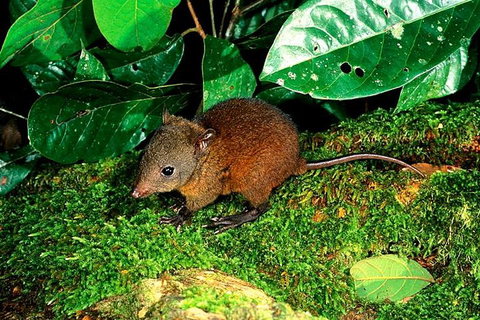 3-Day Small-Group Tour Of North Queensland With Pick Up - Restaurant Darwin 0