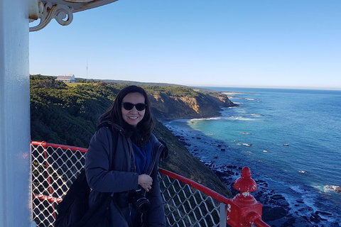 Great Ocean Road Full Day Private Experience - Restaurant Darwin 1