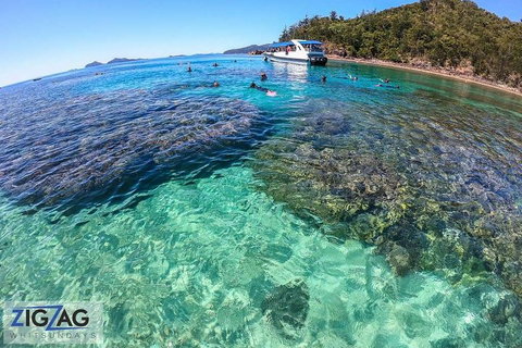 Whitehaven Beach Day Tour With Snorkel In Whitsundays Island - Restaurant Darwin 5
